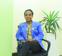 መሳይ ሺበሺ